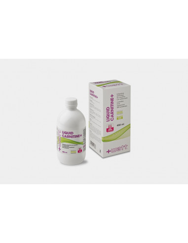 +Watt - Liquid Carnitine+  450 ml