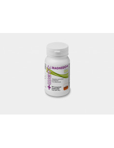 +Watt - Magnesio+ 60 cpr