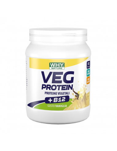 Why Nature - Veg Protein 450 g