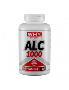 Why Sport - Acetil...