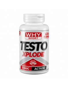 Why Sport - Testo Xplode 90...