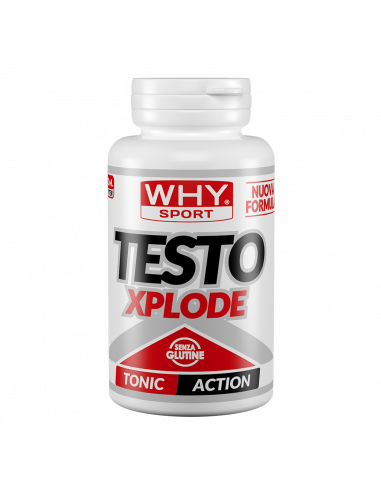 Why Sport - Testo Xplode 90 cpr