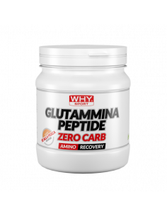 Why Sport - Glutammina...
