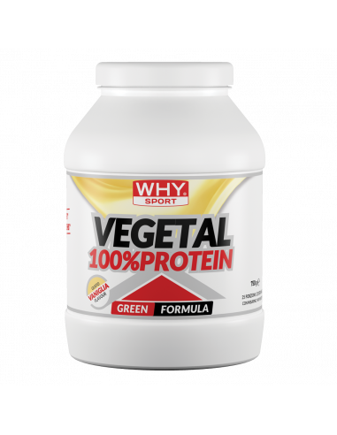 Why Sport - 100% Vegetal Protein 750 g
