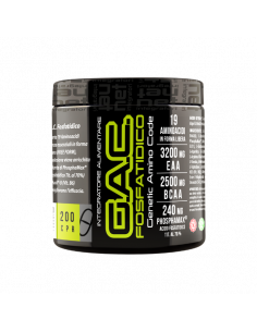 Net - G.A.C. fosfatidico... 2