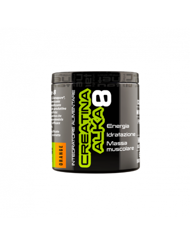 Net - Creatina Alka polvere e cpr