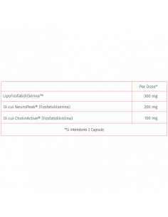 Inner - PS300 Liposomiale... 2