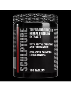 Anderson - Sculpture Thermo...