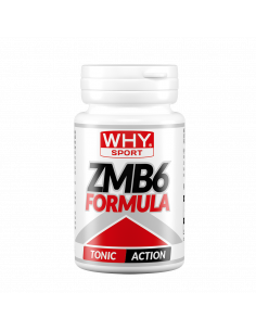 Why Sport - ZMB6 formula 90...