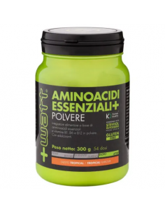 +Watt - Aminoacidi...