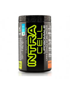 Net - Intracell liposomiale...