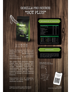 Naturveg - Soy Plus 1Kg 2