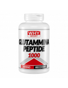 Why Sport - Glutammina...