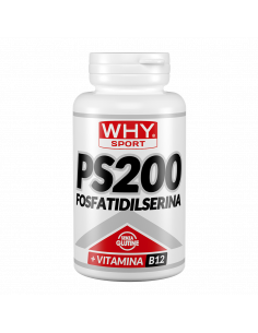 Why Sport - PS 200...