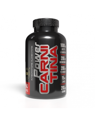 Net - Power Carnitina 90 cpr