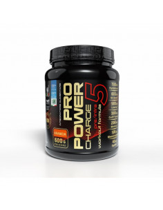 Net - PRO-POWER CHARGE 5 -...